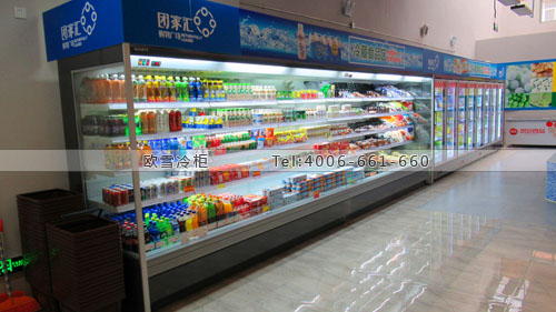 B770广东省中山市坦洲镇团家汇购物广场超市冷柜