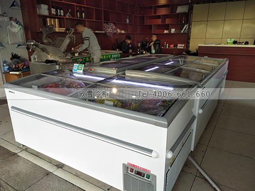 B991广西省南宁市江南区农贸市场财记店冷冻展示柜
