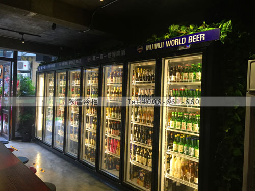 C062江苏省苏州市幕一幕一世界啤酒冰柜