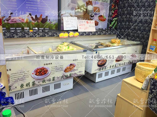 D019上海阳普崇明姐妹农家菜市场冷柜冰柜