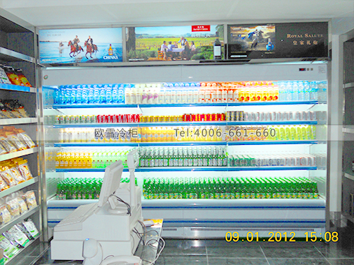 C015深圳福田皇岗大地KTV超市啤酒饮料展示冷柜冰柜