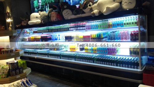 C065湖北省咸宁市赤壁市麦高迪KTV啤酒冷藏柜