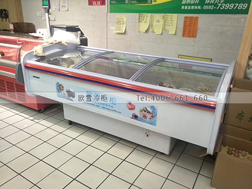 B919福建省厦门市翔安区优汇购生鲜超市冷柜