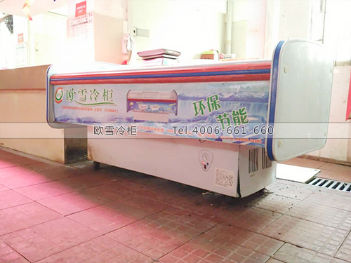 D018广州白云区金信肉菜市场卧式冷冻柜