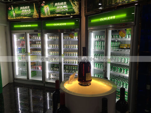 C067广东省广州市番禺区魔法KTV饮料冷藏展示柜