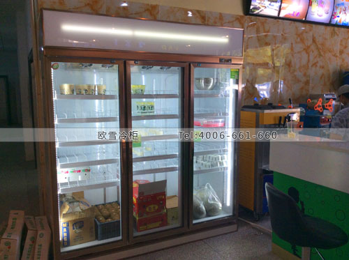 E116湖北省武汉市江夏区湖美餐厅冰柜