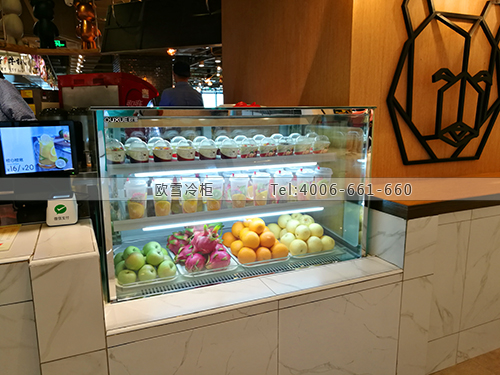 E166广东省深圳市南山区Juice bar冷藏展示柜