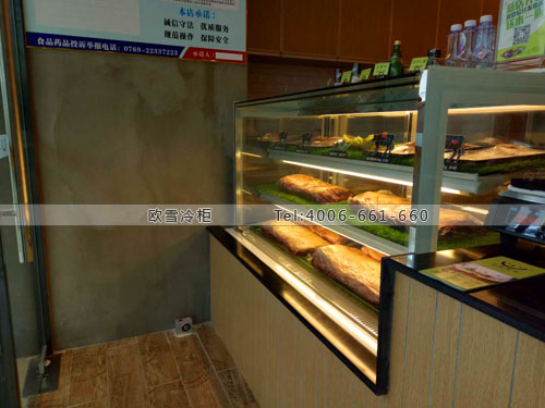 E143广东省东莞市东城区马斯厨房纸船牛排专家冷柜