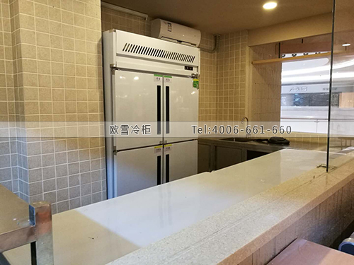 E165广东省深圳市宝安区大食代鲑宿厨房冷藏展示柜