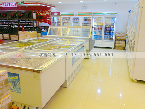 G014上海徐汇立丰食品制冷展示柜