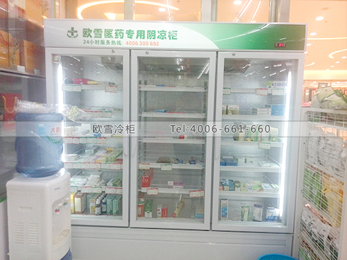 H032广西南宁某大药房冷柜冰柜