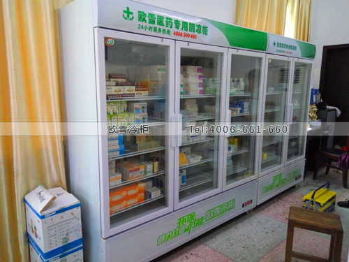 H051湖南省岳阳市桃林中心卫生院药品冷藏柜