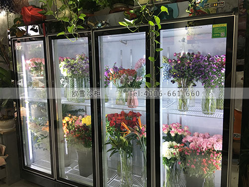 J005广东省惠州市惠阳区红日鲜花保鲜展示柜