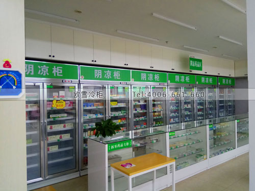 H086湖南省株洲市天元区人民药店药品冷藏柜
