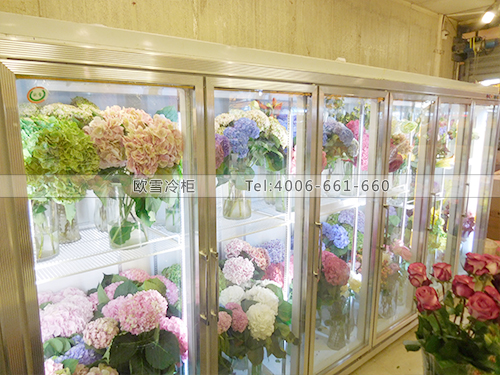 J010广州荔湾岭南花卉市场鲜花保鲜柜