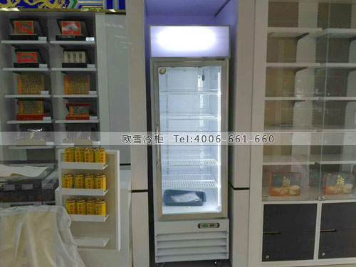 H050北京朝阳区某药店药品冷藏柜