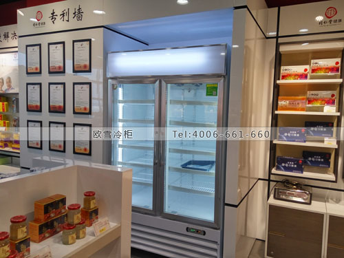 H070湖南省长沙市长沙县北京同仁堂健康药业冷藏柜