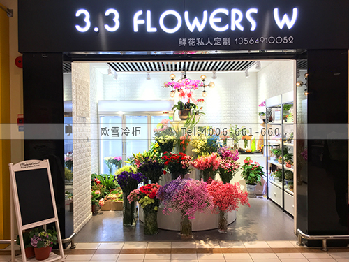 J103上海市浦东新区3.3flowers w鲜花保鲜柜