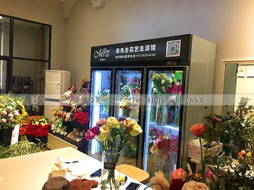J096重庆市北部新区张先生花艺生活馆保鲜柜