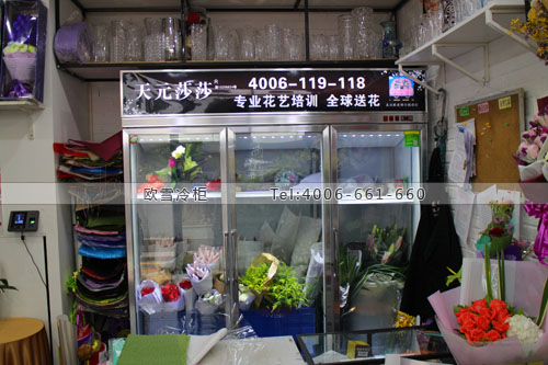 J035广东省深圳市罗湖区天元莎莎保鲜展示柜