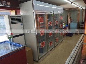 G048北京市朝阳区晓芹大连海参店冷冻展示柜