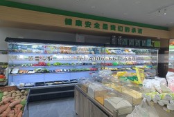 风幕柜-广西哪里有卖蔬菜风幕柜？